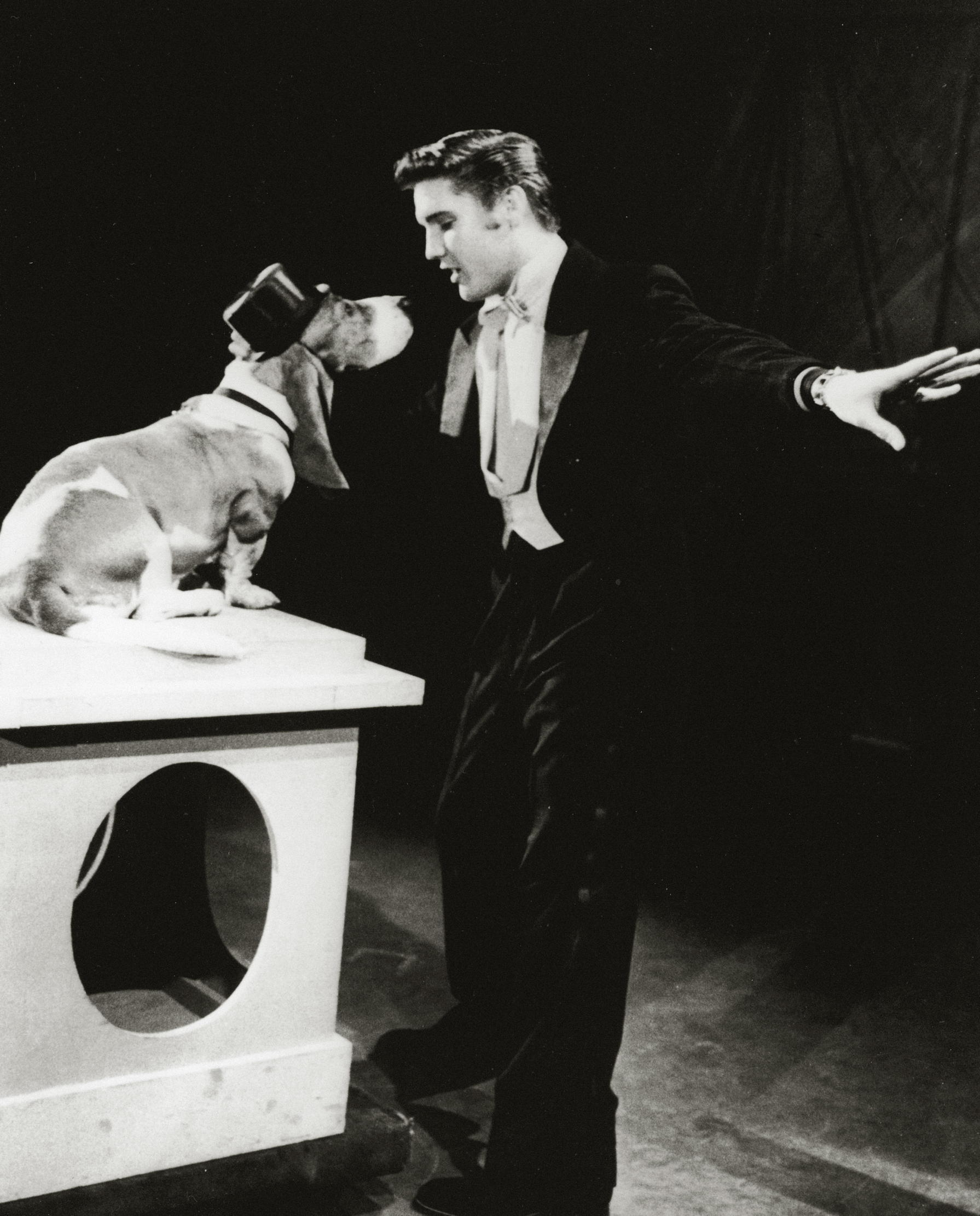 Elvis Prestley serenading a basset hound