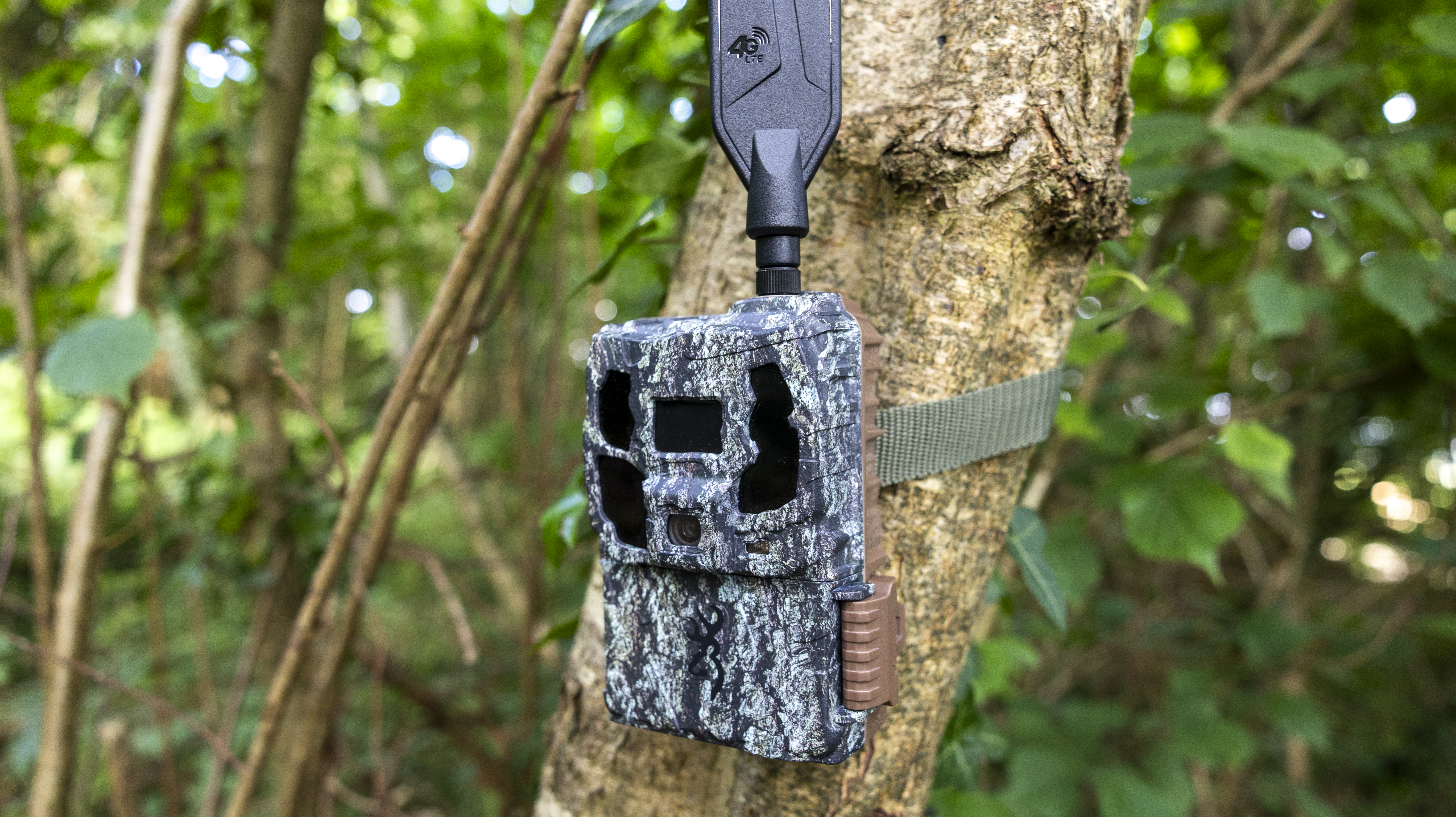 The Browning Defender Pro Scout Max Solar trail camera attached to a tree in a woodland
