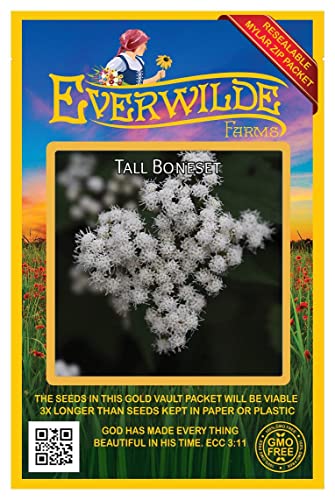 Everwilde Farms - 500 Tall Boneset Native Wildflower Seeds - Gold Vault Seed Packet