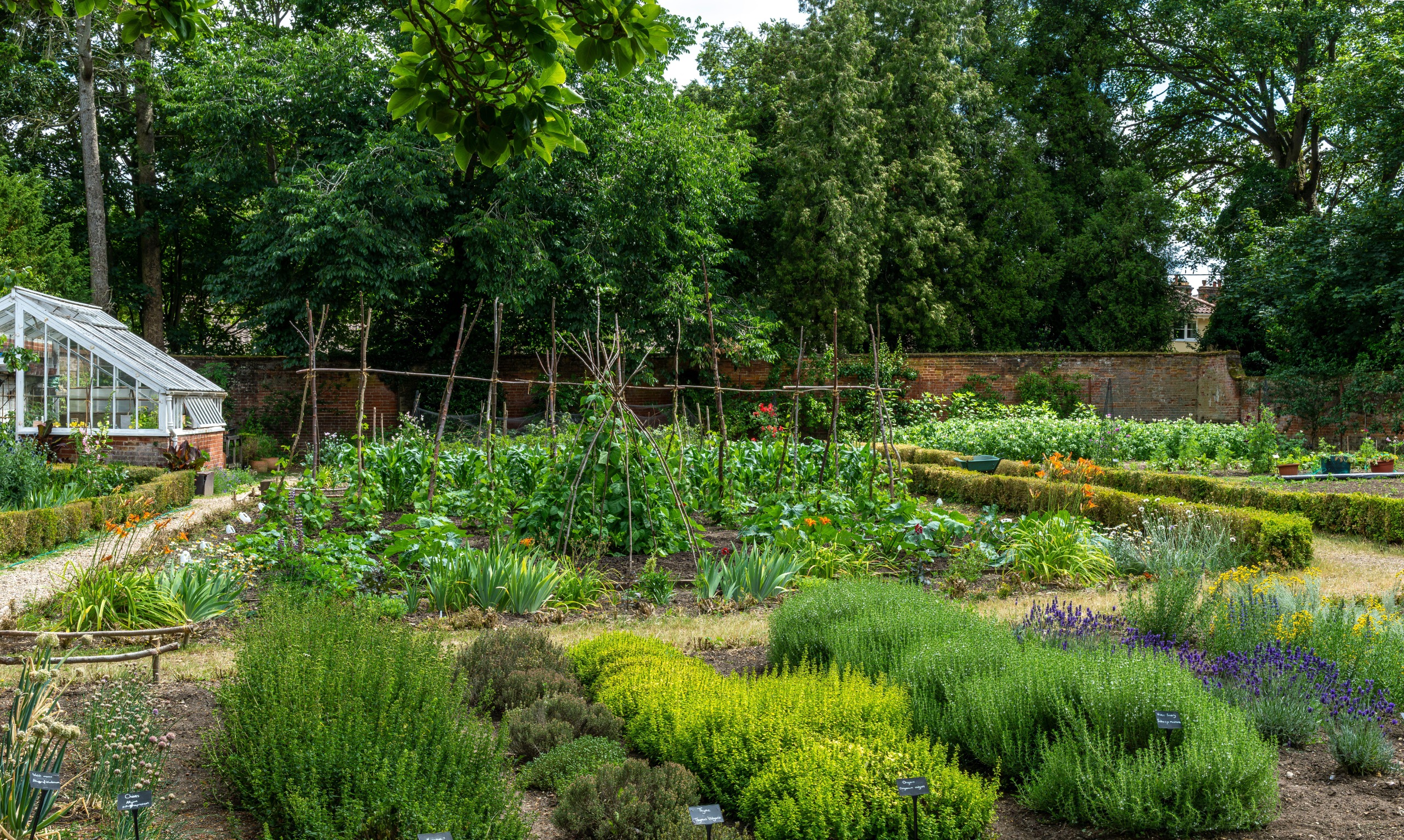 A kitchen garden