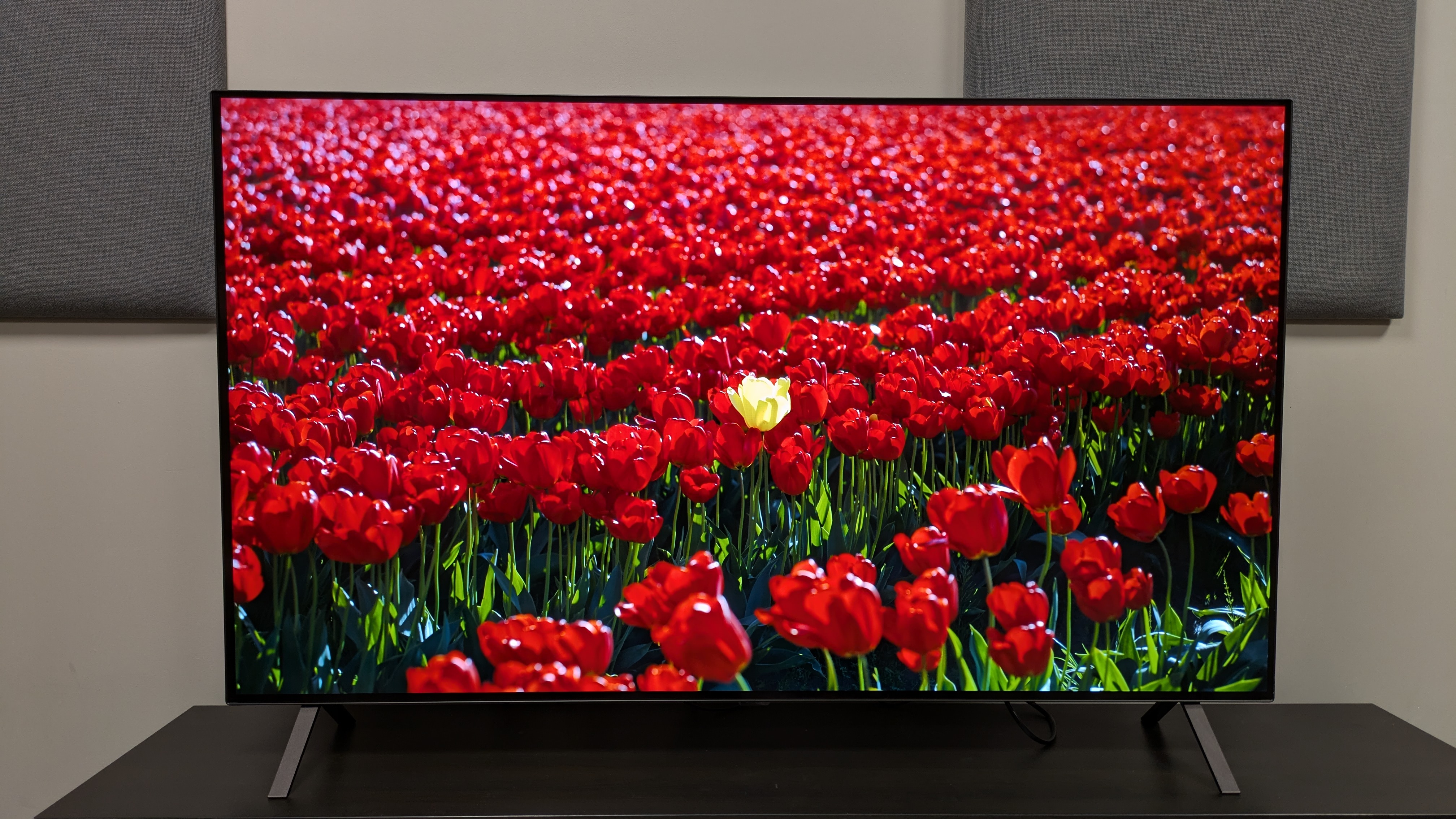 LG B5 OLED TV with red flowers in a field on screen