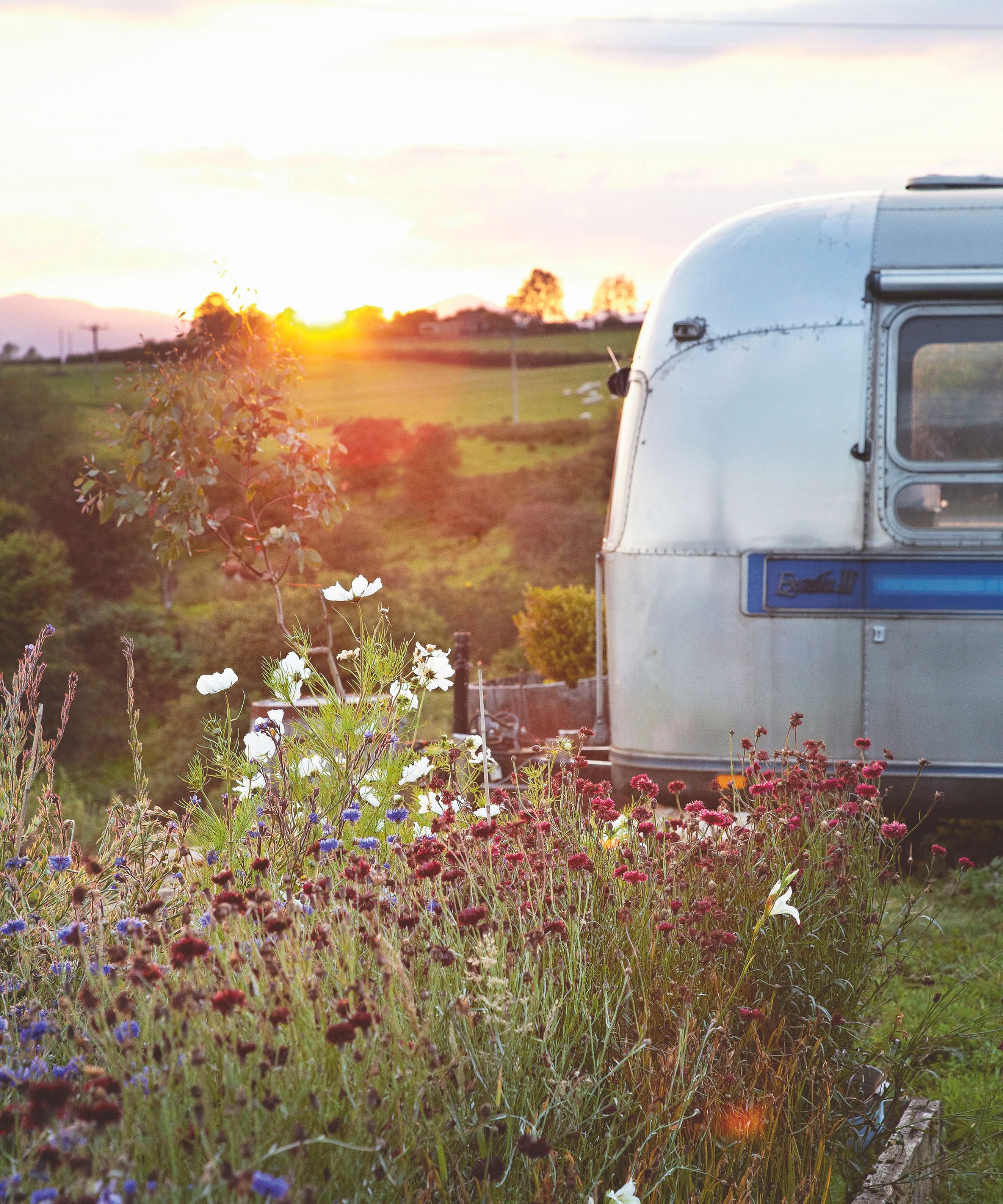 Airstream in wildflower garden