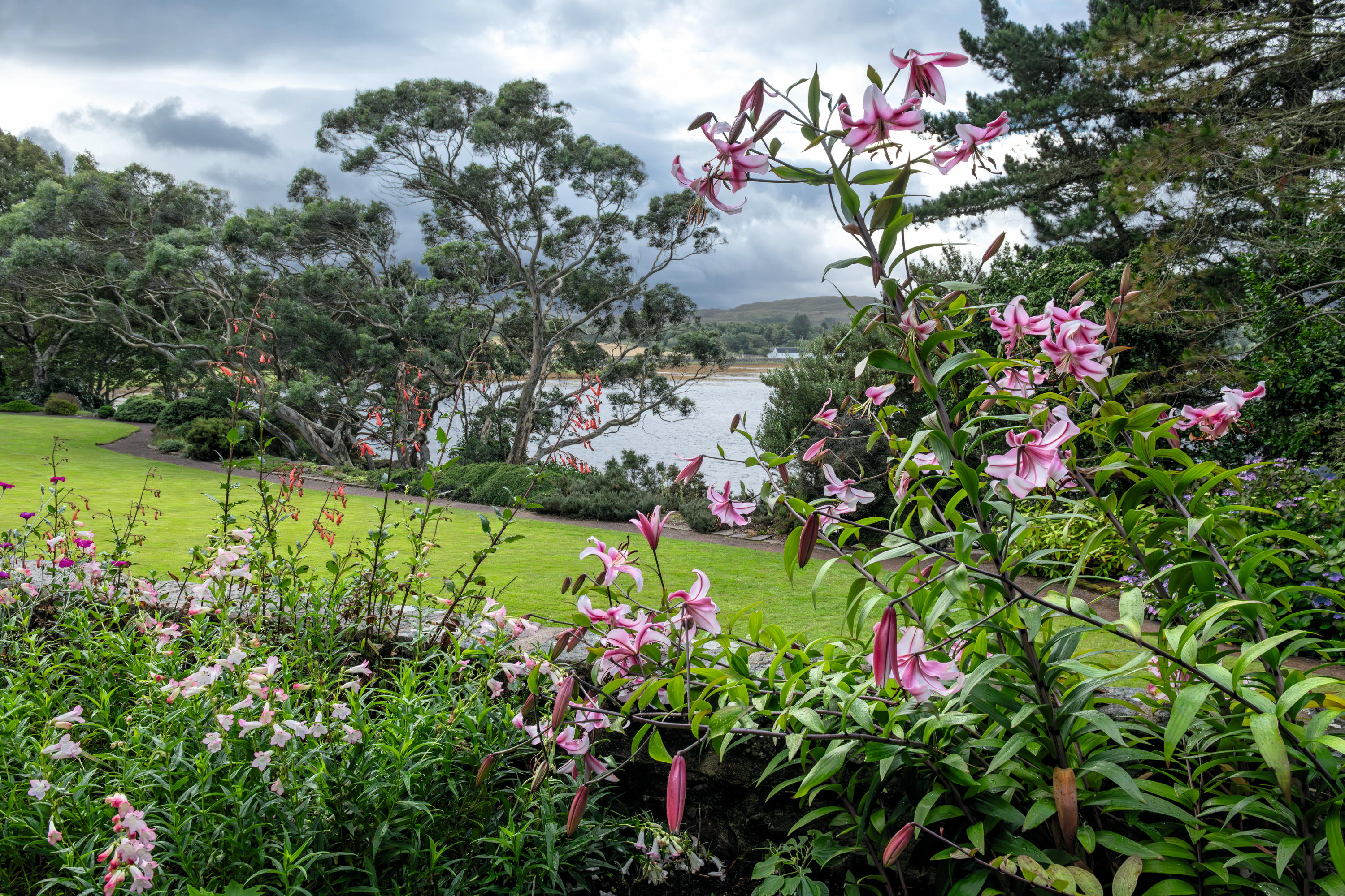 The garden at Inverewe in Wester Ross as photographed by Andrea Jones