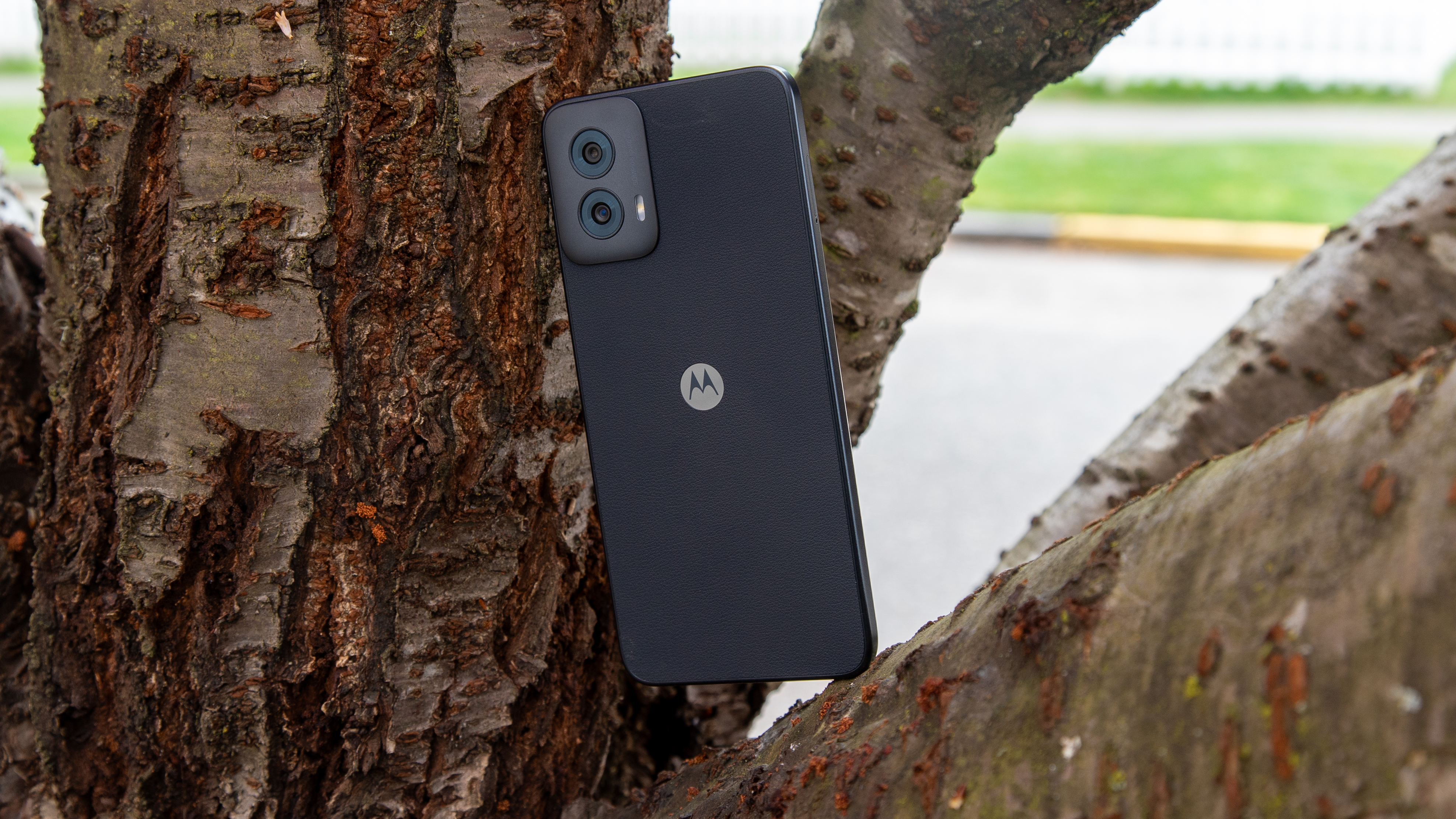 The Moto G Power 5G 2024 in a tree