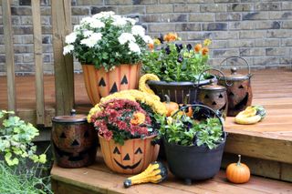 Pumpkin planters with flowers in them on porch steps