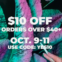 Etsy sale: Get $10/£10 off everything with code YES10
The sales season has kicked off and Etsy are getting in on the action by offering $10/£10 off everything on orders of $40/£40+ simply by using the code YES10