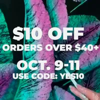 Etsy sale: Get $10/£10 off everything with code YES10
YES10