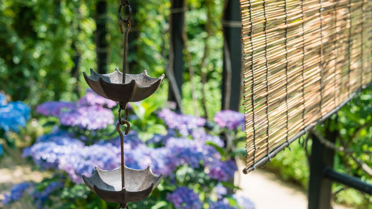 A rain chain in a japanese garden with a bamboo shade in the background