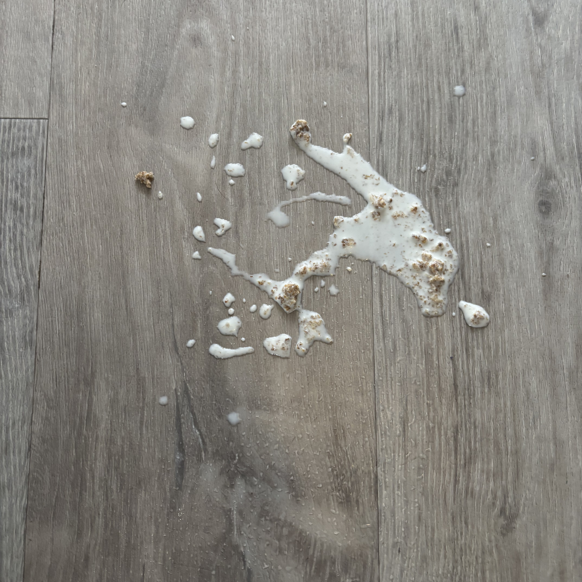 Spilled mess on laminate floor