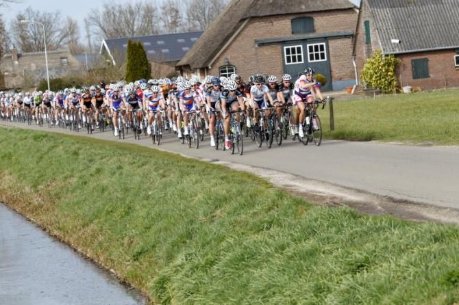The bunch chases Gillow