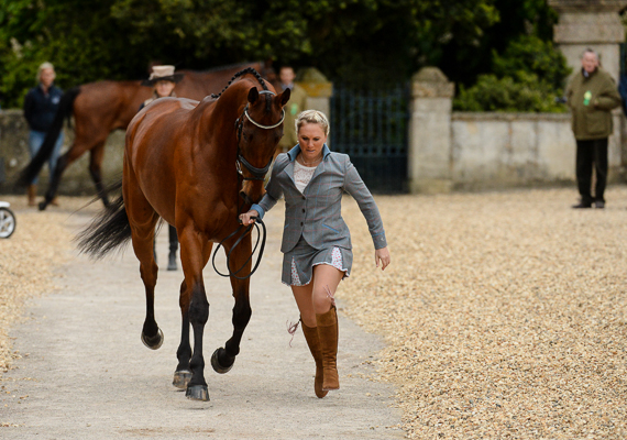 Gemma Tattersall and Arctic Soul