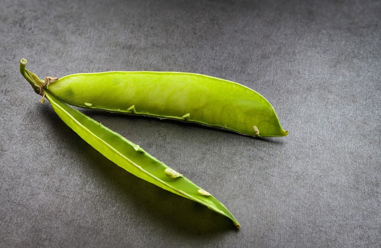 Empty Veggie Pod