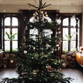 christmas tree with glass window and wooden flooring