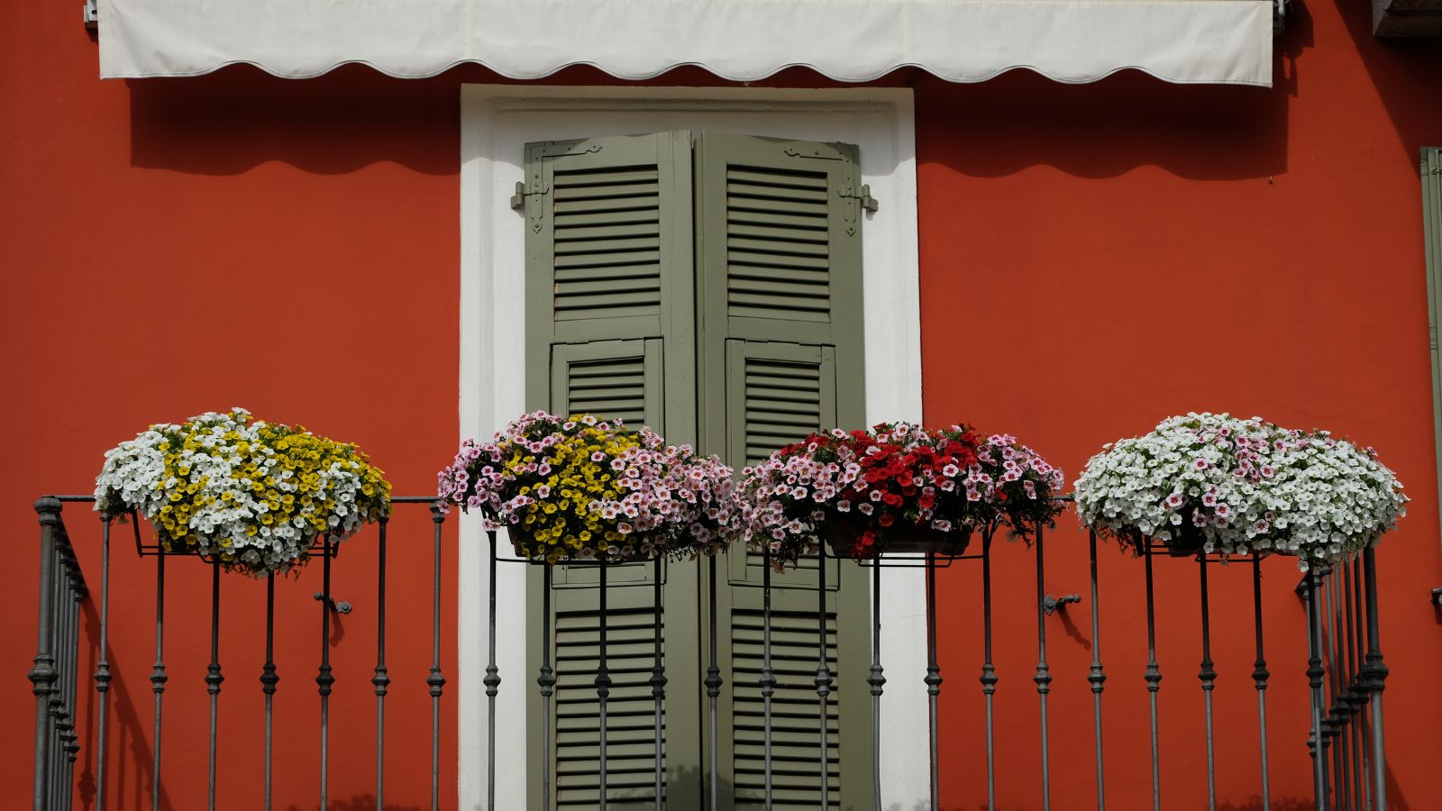 Red house with sage green shutters and wrought iron balcony with window boxes