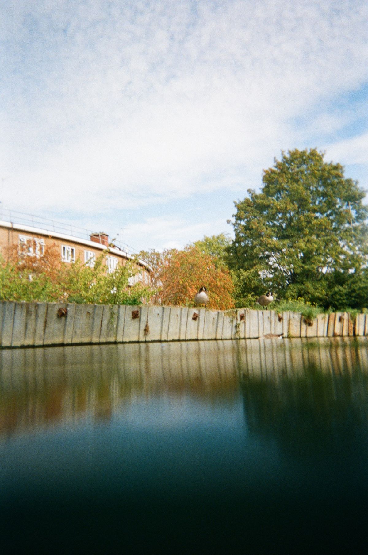 Sample photo taken with the Fujifilm QuickSnap Active disposable camera