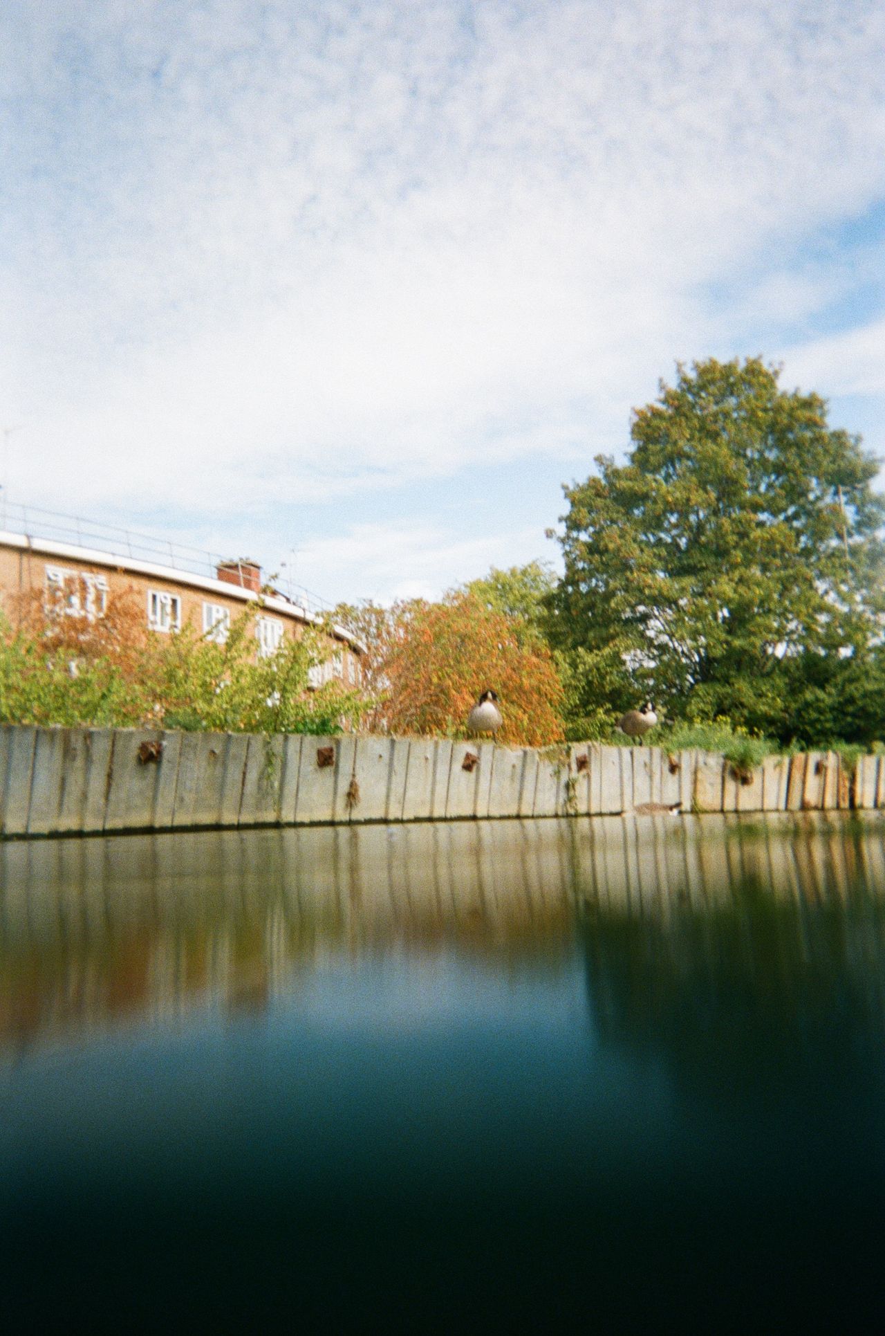 Sample photo taken with the Fujifilm QuickSnap Active disposable camera