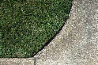 Lawn and concrete footpath