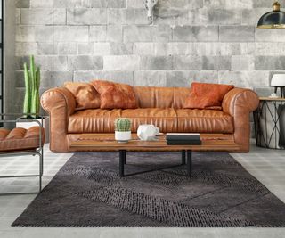 vegan leather couch in a sitting room with a rug