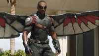   Falcon