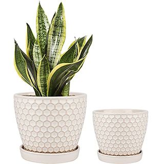 Docrin Ceramic Plant Pots Indoor: 6.6 + 5.5 Inch Planters With Drainage Holes and Saucer for Home/office - Set of 2 /milky White Honeycomb