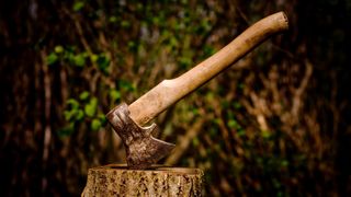 Axe wedged in tree stump