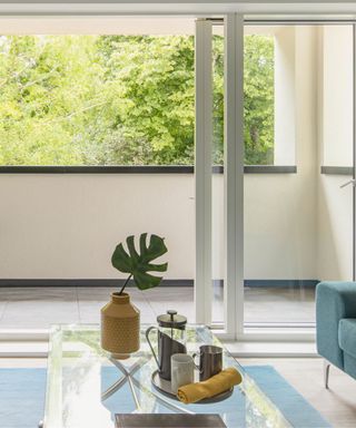 A rectangular glass table with a French press, coffee cup and jug and a plant on it, with a light blue rug underneath and a light blue seat next to it, with a white glass sliding door in front of it