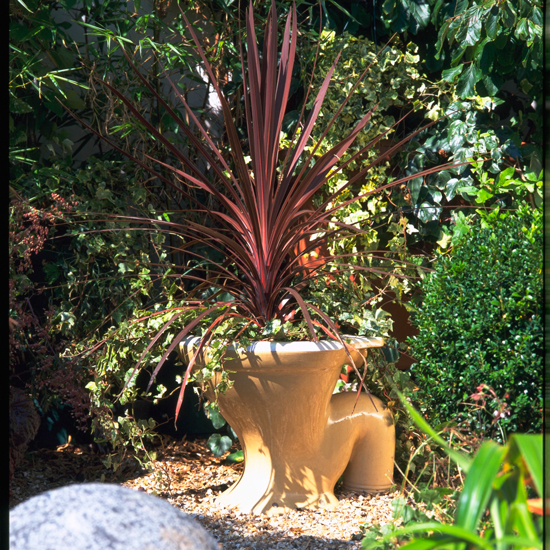 garden with toilet bowl and plants