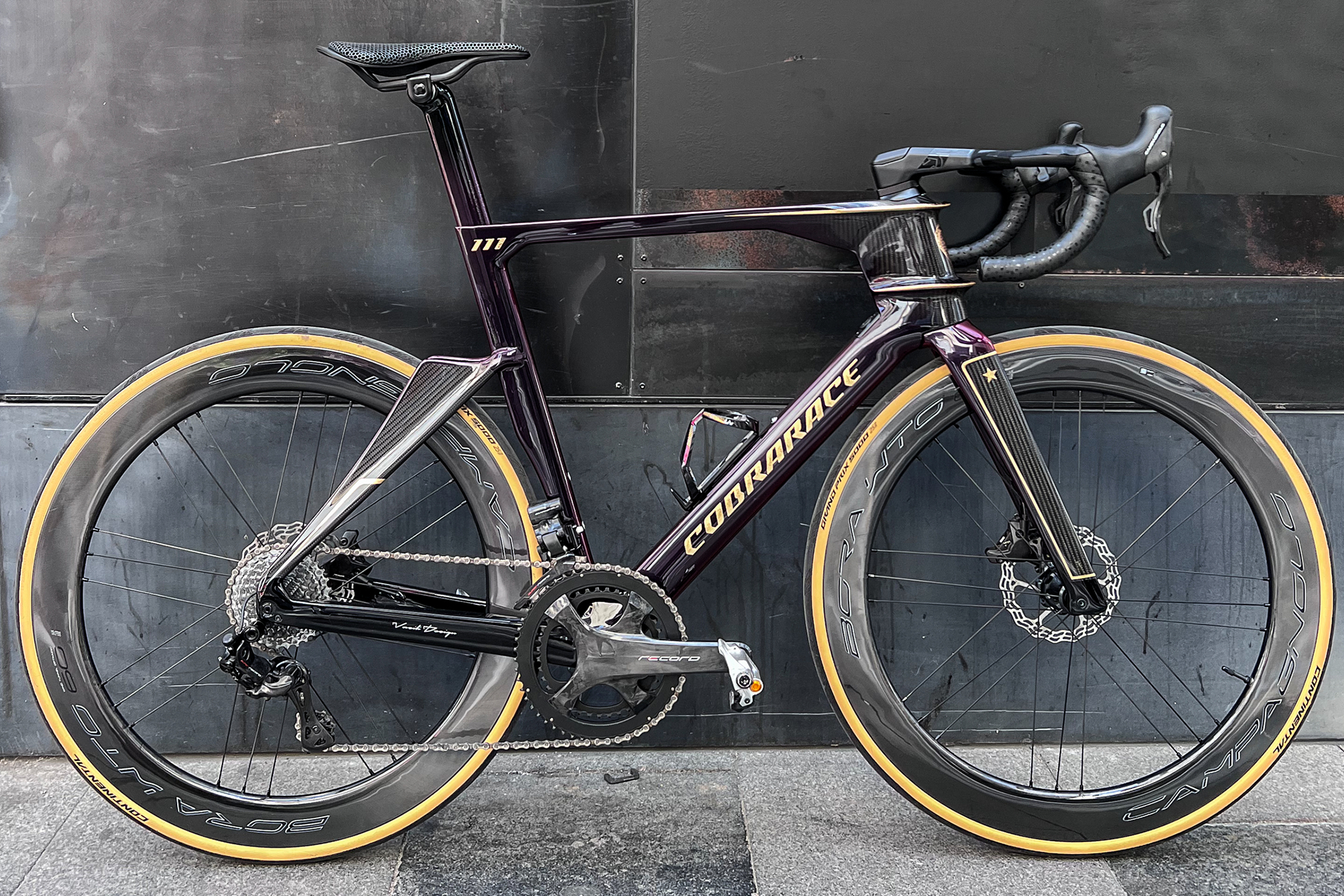 Side profile view of the Cobrarace bike, designed and built by Vasili Design