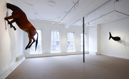 Horse & fish sculptures mounted on walls