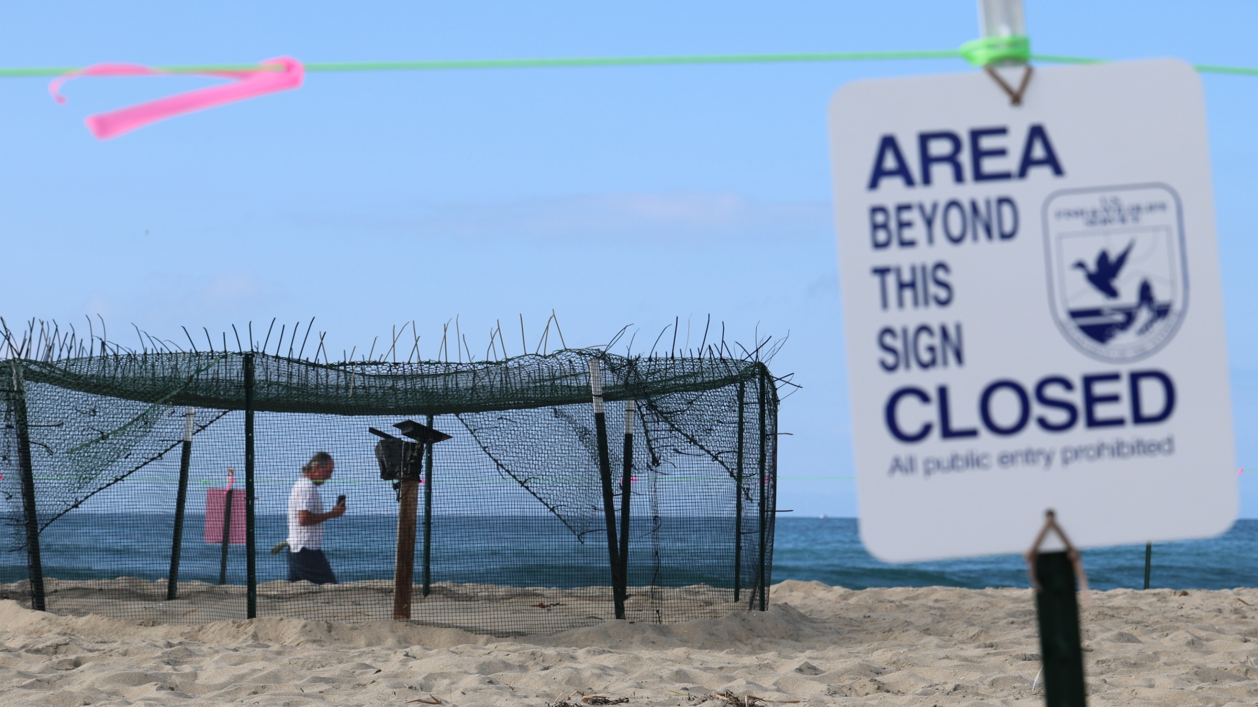 Two Orange County beaches have sections blocked from the public on September 22, 2026, after a sea turtle was spotted laying and burying eggs.