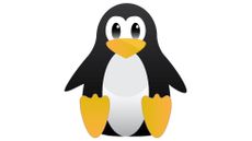 Linux penguin logo