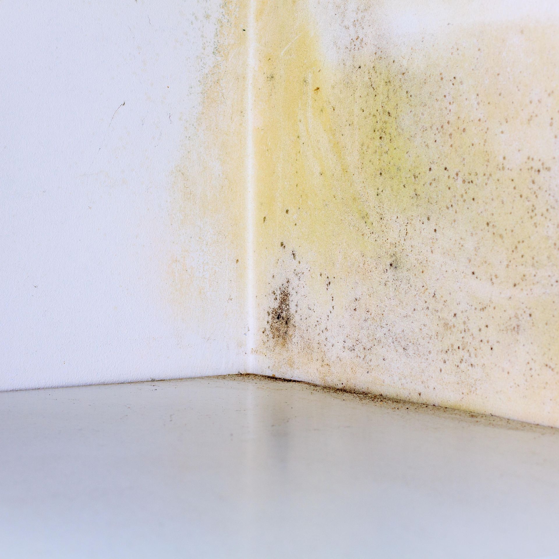 How to stop dampness coming through walls | Ideal Home