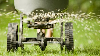 Fertilizing a lawn