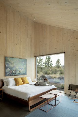 minimalist bedroom with pine clad walls