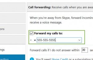 skype call forwarding