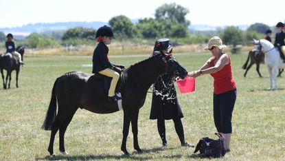 A dark pony with rider splashes water from a bucket while drinking on a hot summer's day at a show.