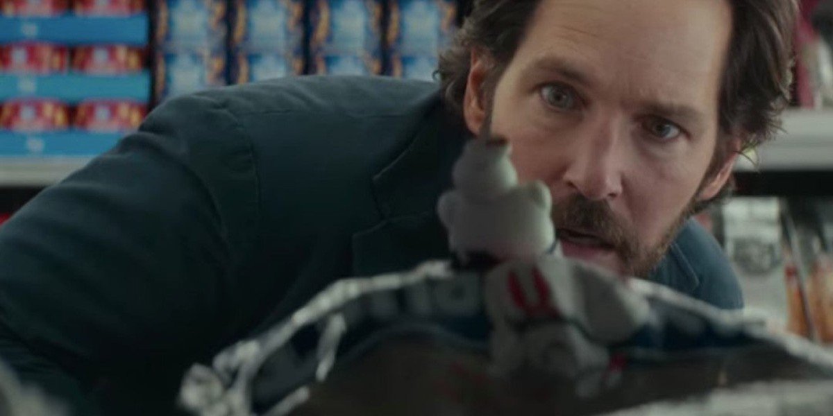 Upcoming Paul Rudd Movies And TV: What's Coming Up For The Ant-Man Star ...