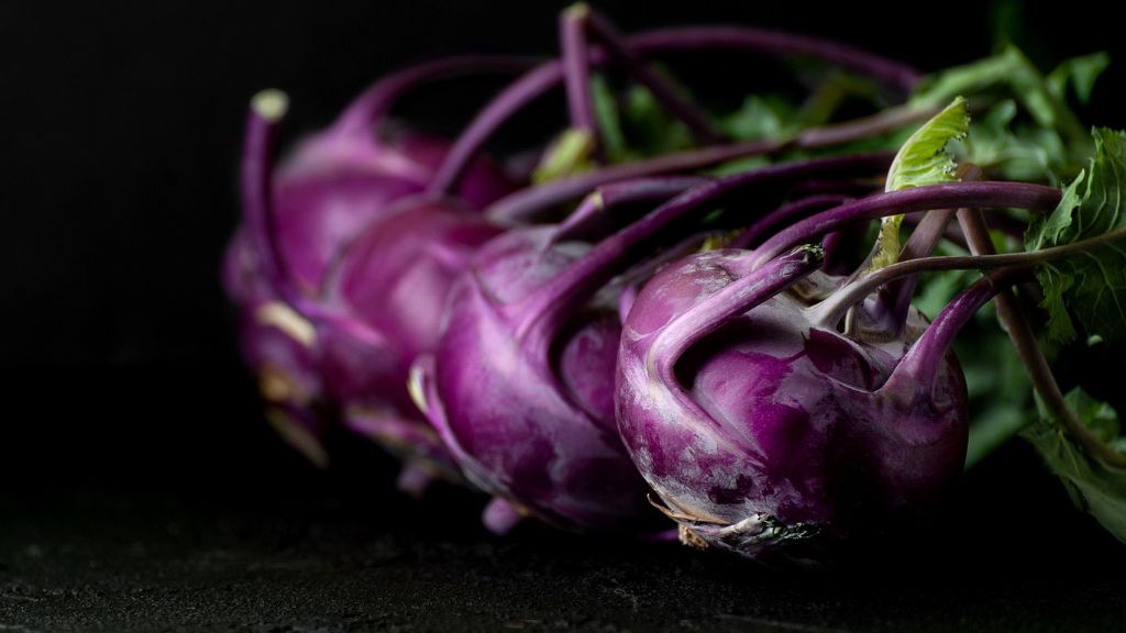 purple kohlrabi on black background 