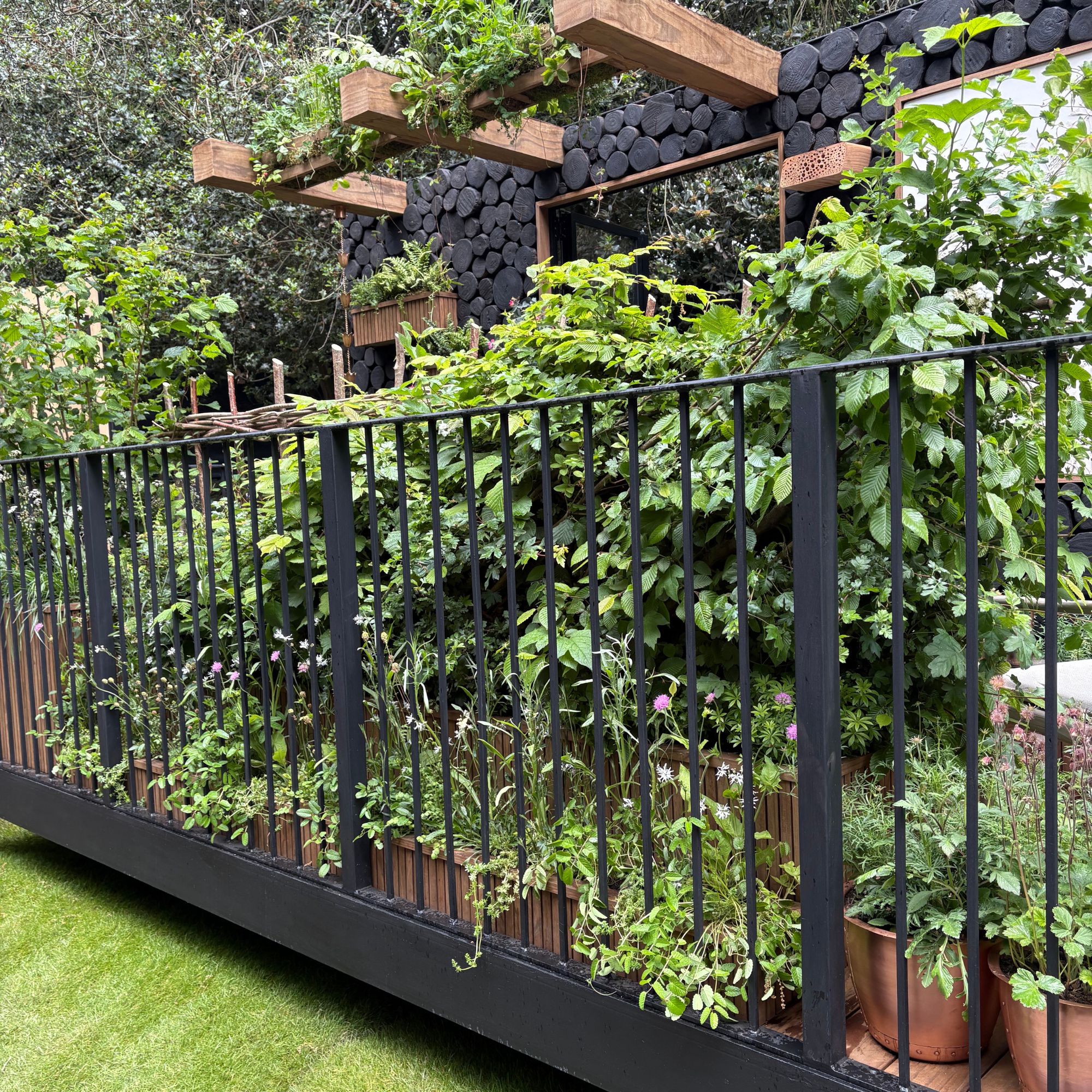Hedgerow in the Sky - Tech Mahindra at RHS Chelsea Flower Show 2026