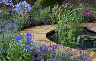 circular pond design in a small garden with purple, blue and pink flowers