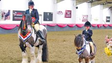 Brickell Mr Pickwick, exhibited by Rebecca Lock, Champion and Evie&Atilde;&cent;&Acirc;&Acirc;s Pride, exhibited by Scarlett Sharp, reserve in BSPA Supreme Ridden Championship, during the BSPA Festival of Showing & Winter Championships held at the College Equestrian Centre in the village of Keyoe in the county of Bedfordshire in the UK on the 25th February 2018