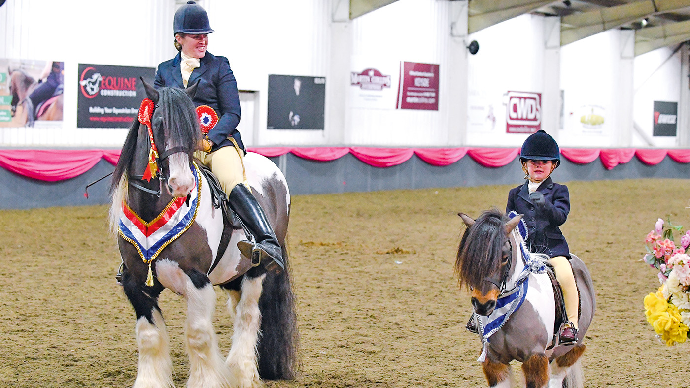 Brickell Mr Pickwick, exhibited by Rebecca Lock, Champion and Evie&amp;Atilde;&amp;cent;&amp;Acirc;&amp;#128;&amp;Acirc;&amp;#153;s Pride, exhibited by Scarlett Sharp, reserve in BSPA Supreme Ridden Championship, during the BSPA Festival of Showing &amp;amp; Winter Championships held at the College Equestrian Centre in the village of Keyoe in the county of Bedfordshire in the UK on the 25th February 2018