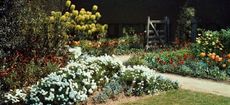 Gertrude Jekyll's garden at Munstead Wood - photographed in 1908 (©Country Life Picture Library)