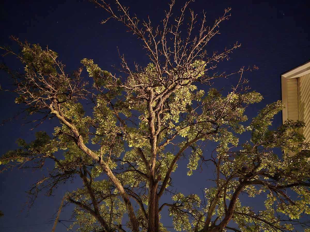Samsung Galaxy S24 Ultra low light sample.