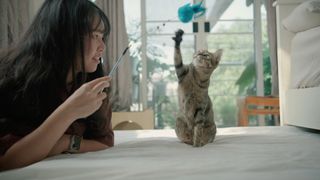 Woman playing with cat