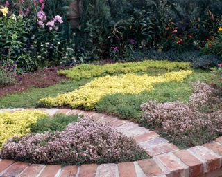 Fragrant Garden - with Thyme lawn