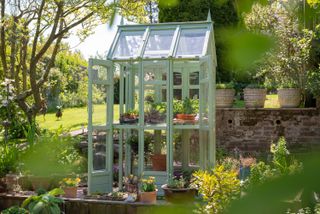 small green painted greenhouse used for growing plants