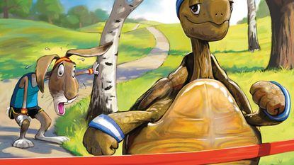 Tortoise & hare cover illustration