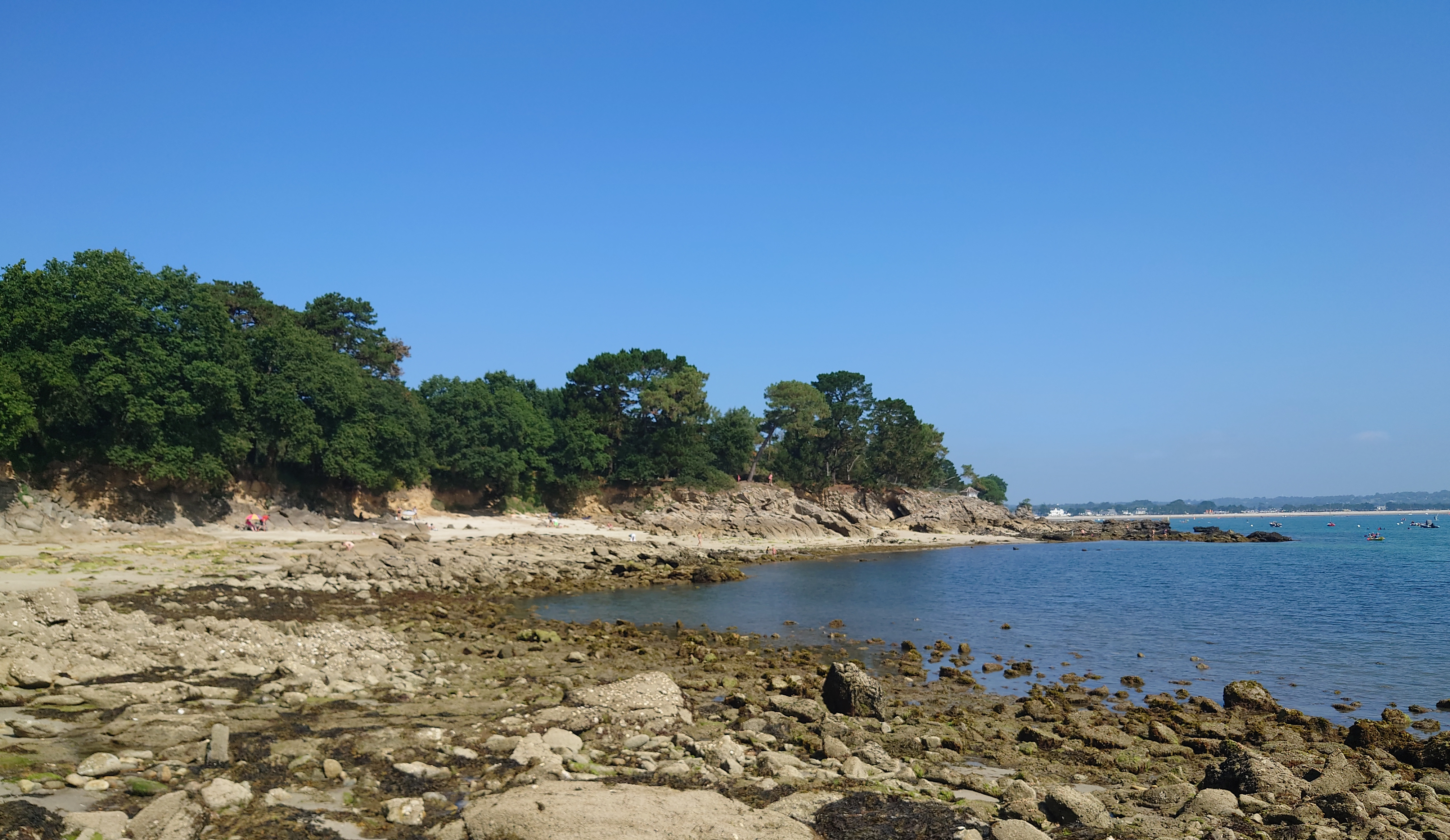 wallpaper team travel picks 2025