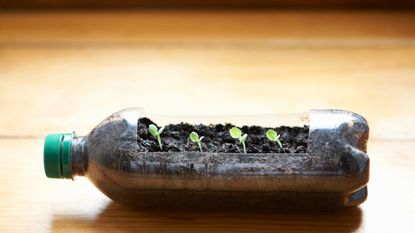 Compost in a bottle